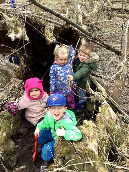 group of children walking in the forest